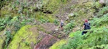 Plants: image 47 Of 208 Thumb